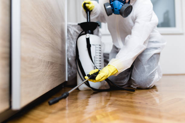 Best Pest Prevention Services  in Baldwin City, KS
