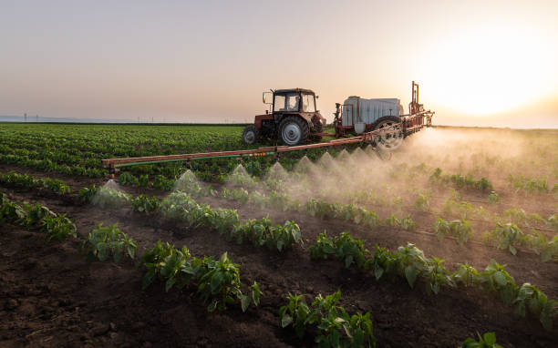 Best Pest Inspection Near Me  in Baldwin City, KS