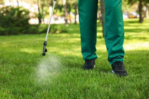 Best Rat Extermination Near Me  in Baldwin City, KS
