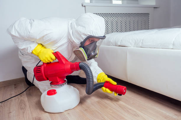 Best Local Pest Control Services  in Baldwin City, KS