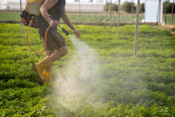Pest Control for Restaurants in Baldwin City, KS