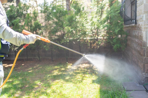 Best Affordable Pest Control Services  in Baldwin City, KS