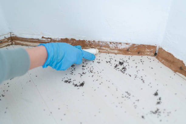 Best Wildlife Control Services  in Baldwin City, KS