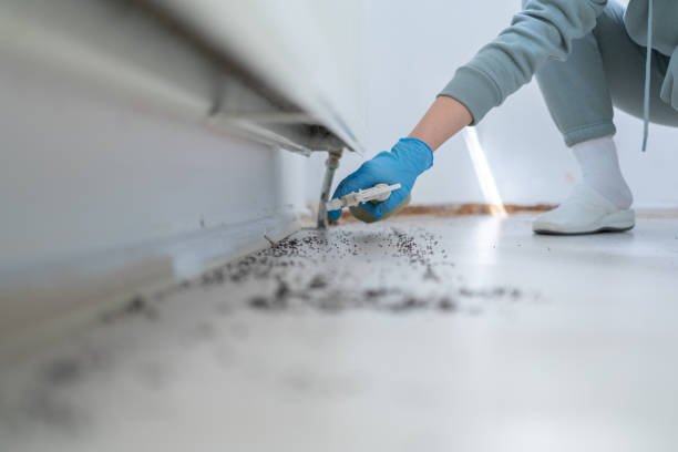 Best Commercial Pest Control Services  in Baldwin City, KS